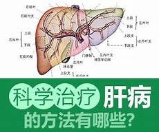 中老年怎么补钙身体中钙质流失和消耗会更加严重些