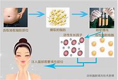 中山大学就业管理系统中山大学哲学、中文、生物强