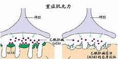 中华心血管健康网大特保聚焦意外险、人身健康险以及各种场景化